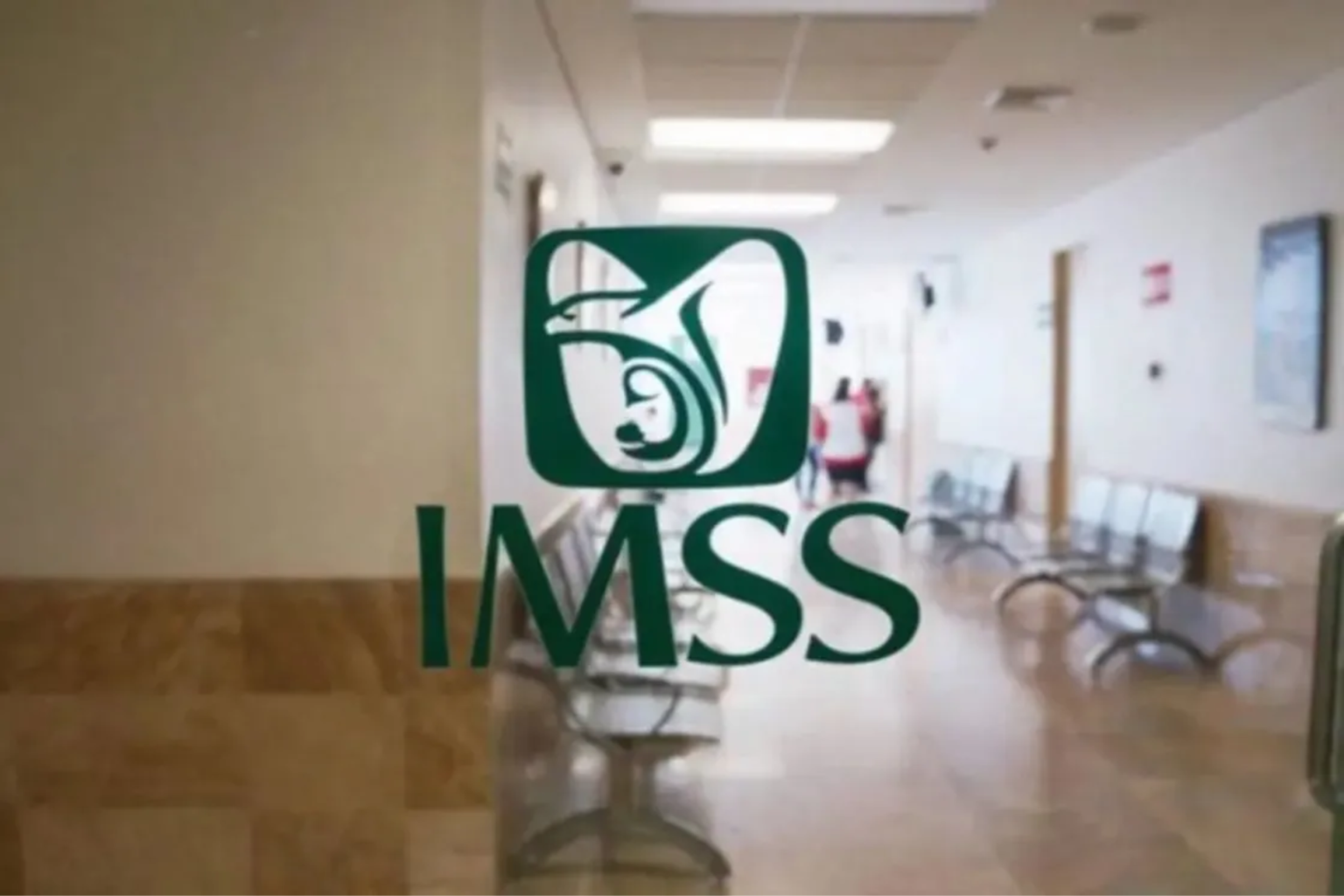 Imss C Mo Cobrar Una Incapacidad Sin Salir De Casa Requisitos Hot Sex